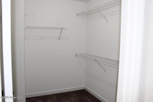 walk in closet with dark colored carpet