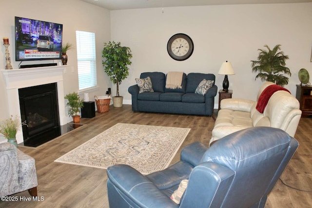 living room with wood-type flooring