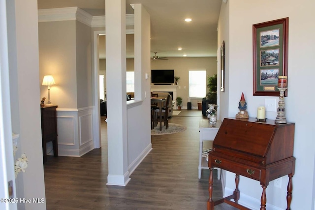 interior space featuring ceiling fan, dark wood-type flooring, and ornamental molding