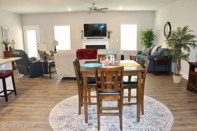 dining room featuring hardwood / wood-style flooring and ceiling fan