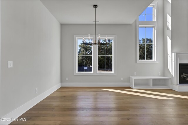 empty room with wood-type flooring and ceiling fan