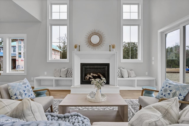 living room with hardwood / wood-style flooring, a high ceiling, and a healthy amount of sunlight