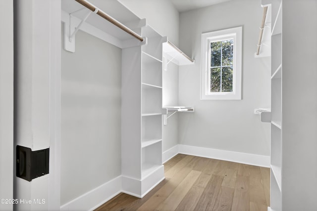 spacious closet with light hardwood / wood-style floors