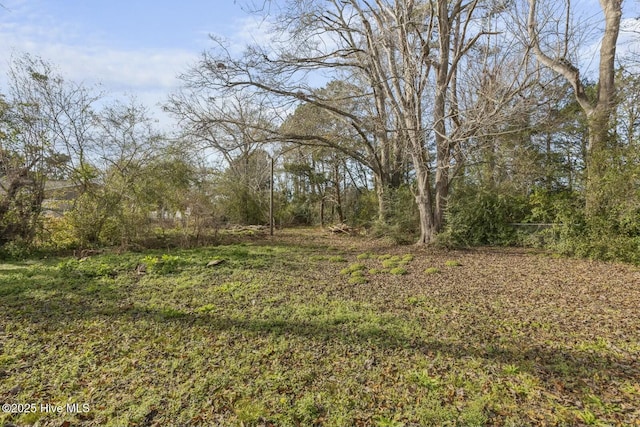 view of local wilderness