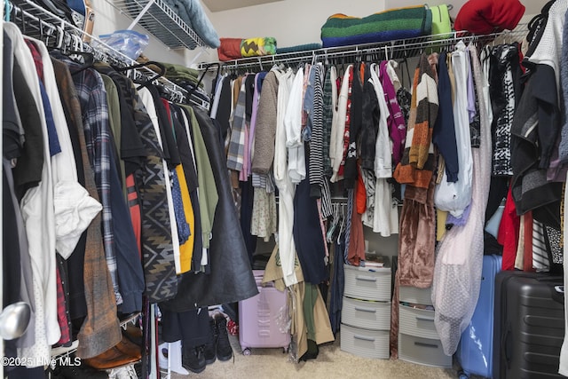 spacious closet with carpet flooring