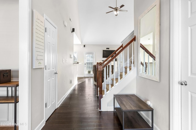 entryway with ceiling fan and dark hardwood / wood-style flooring