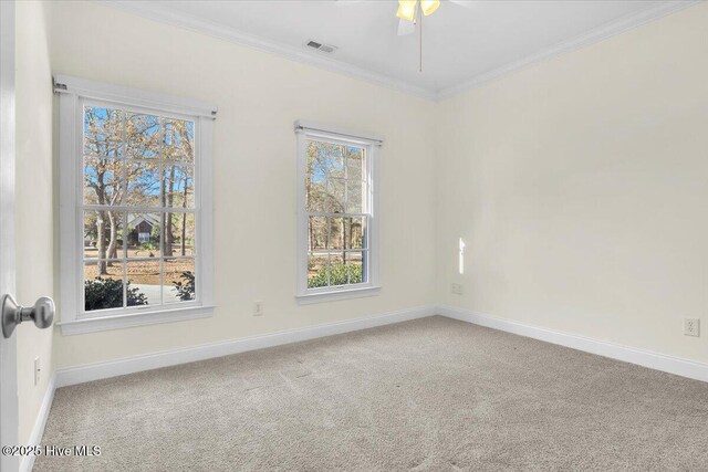 spare room featuring carpet flooring, ceiling fan, and ornamental molding