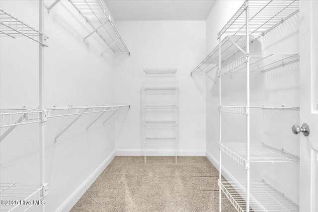 walk in closet featuring carpet floors