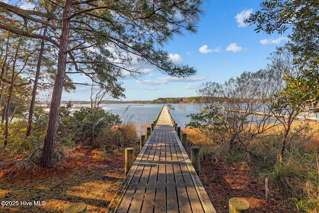 dock area with a water view