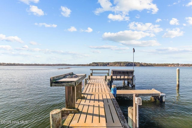 dock area with a water view