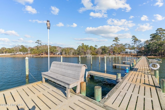 dock area featuring a water view