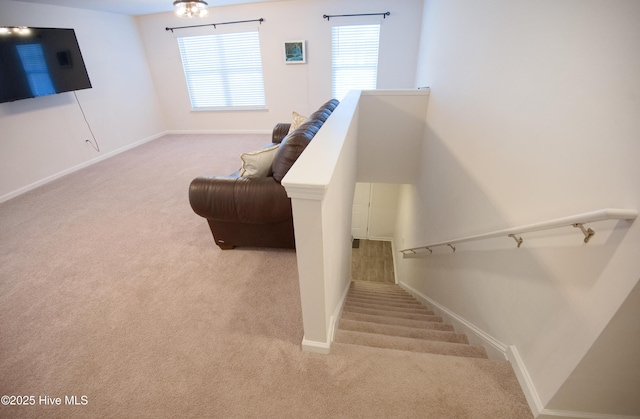 staircase featuring carpet