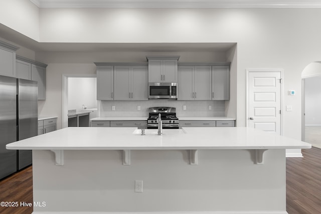 kitchen featuring stainless steel appliances, a center island with sink, and gray cabinetry