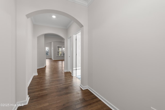 hall featuring ornamental molding and dark wood-type flooring