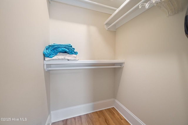 walk in closet with hardwood / wood-style flooring