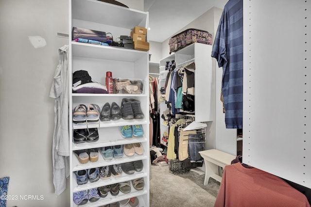 walk in closet featuring carpet floors