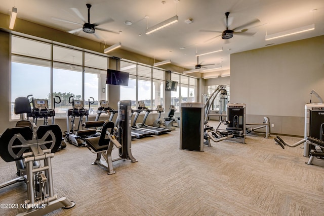 gym featuring ceiling fan