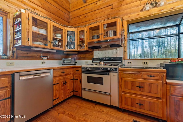 kitchen featuring gas range oven, light hardwood / wood-style flooring, and stainless steel dishwasher