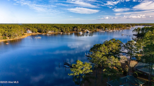 property view of water