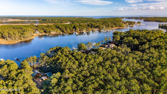 drone / aerial view with a water view