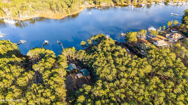 bird's eye view with a water view