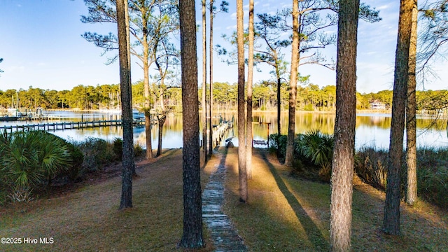 water view featuring a boat dock