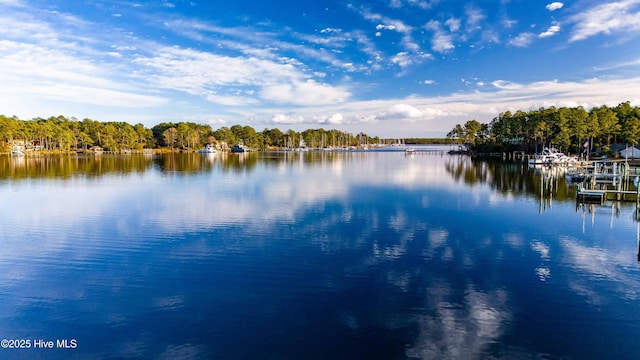 property view of water