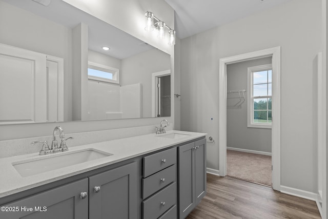 bathroom with vanity and wood-type flooring