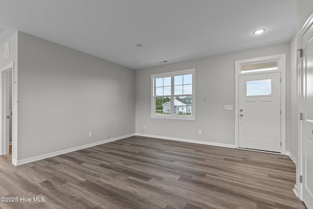 foyer featuring wood-type flooring