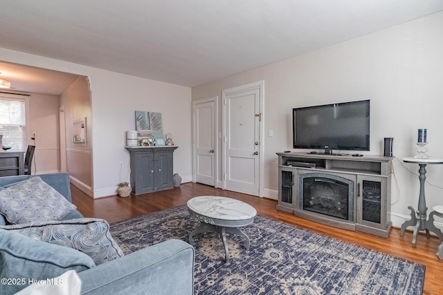 living room with wood-type flooring