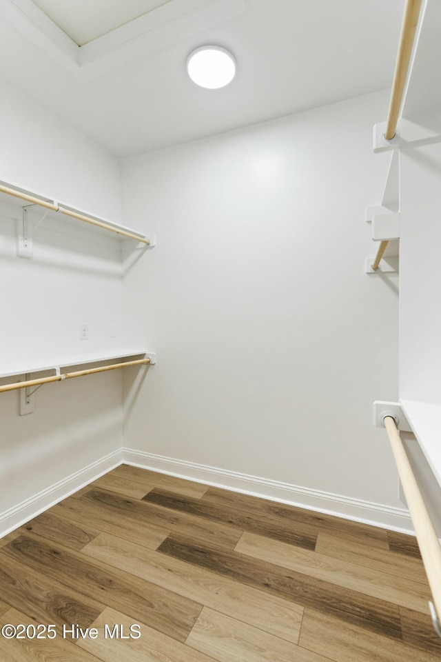 spacious closet with wood-type flooring