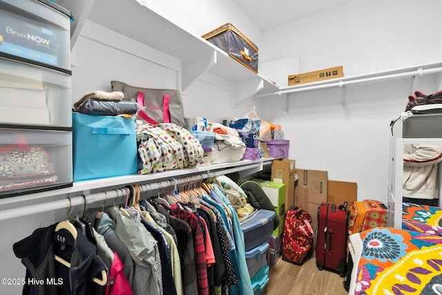 walk in closet featuring wood finished floors