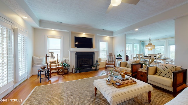 living room with a textured ceiling, light hardwood / wood-style flooring, and plenty of natural light