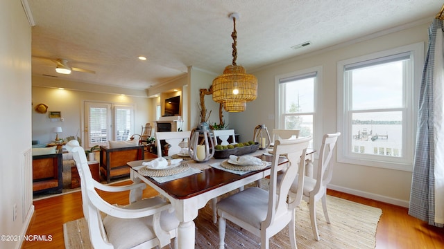 dining space featuring ceiling fan, plenty of natural light, and wood-type flooring