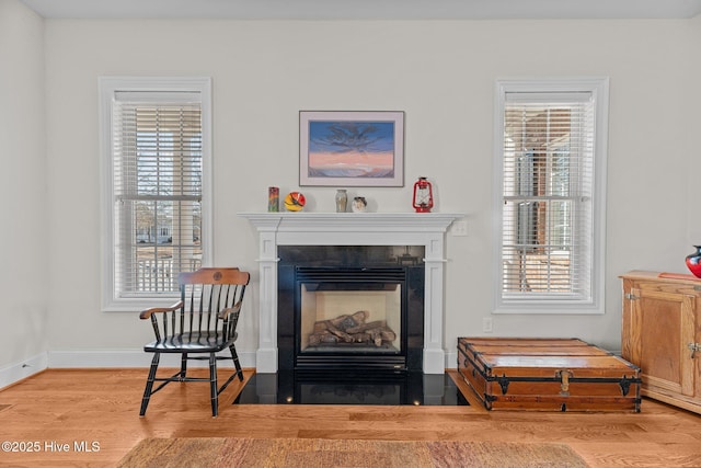 living area featuring a wealth of natural light and hardwood / wood-style floors