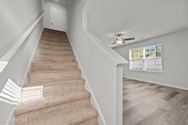 stairway with hardwood / wood-style floors and ceiling fan