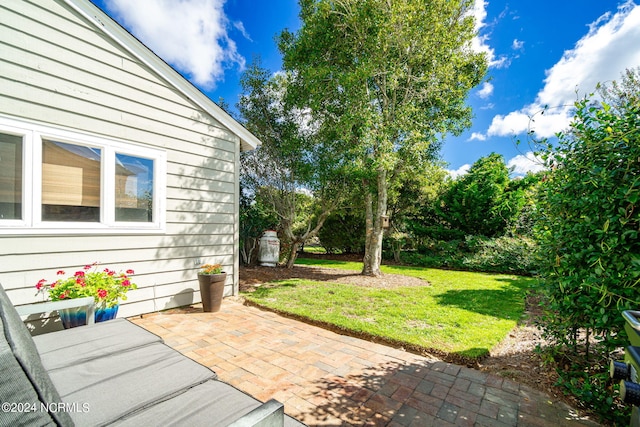 view of yard featuring a patio