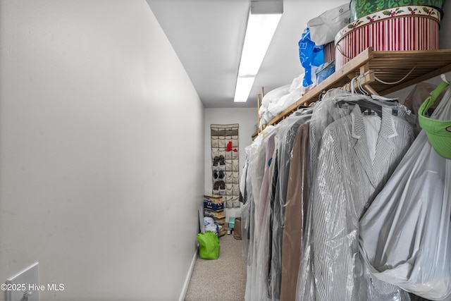 walk in closet featuring carpet floors