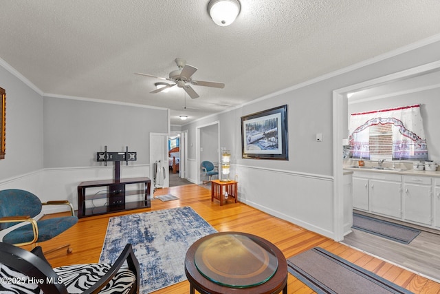 sitting room with a textured ceiling, light hardwood / wood-style flooring, crown molding, and sink