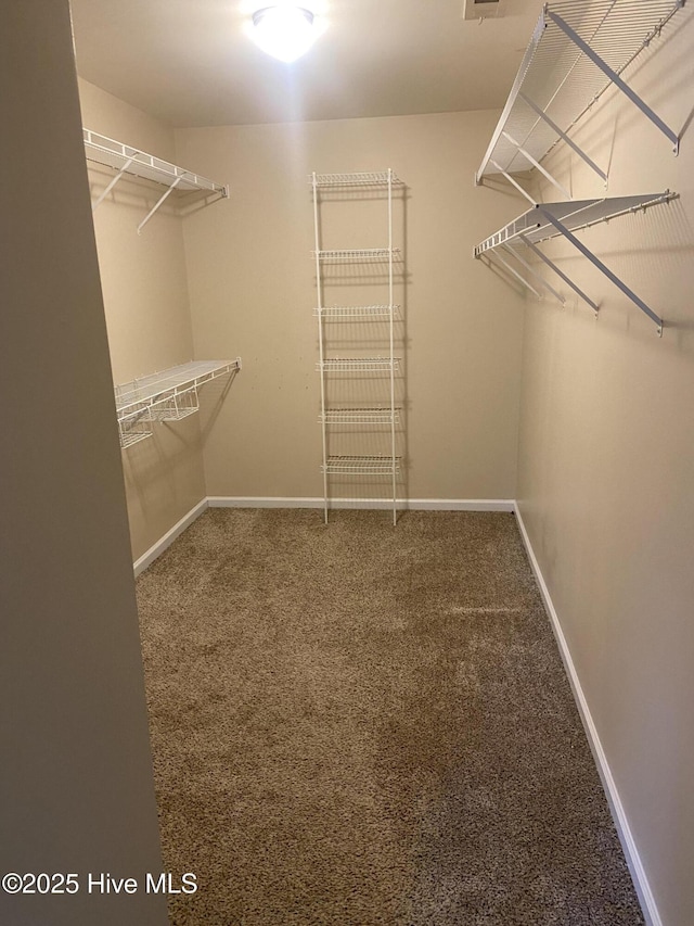 spacious closet with carpet floors