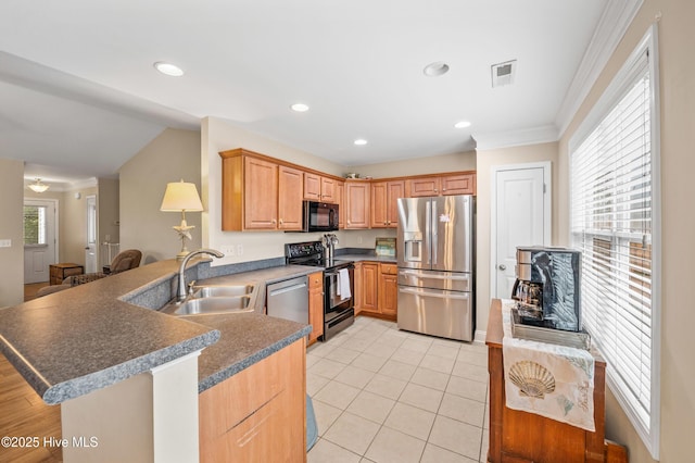 kitchen with sink, kitchen peninsula, stainless steel appliances, and a wealth of natural light