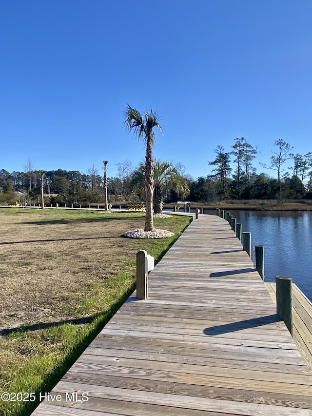 dock area with a water view