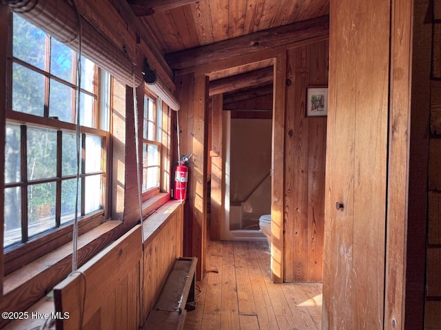 hall with plenty of natural light, light hardwood / wood-style flooring, wood ceiling, and wooden walls