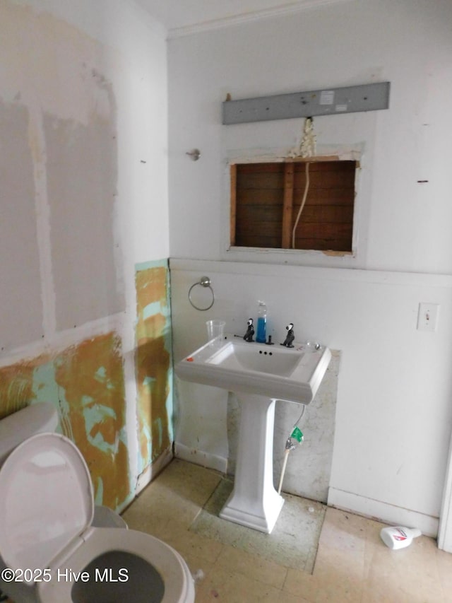 bathroom featuring sink and toilet