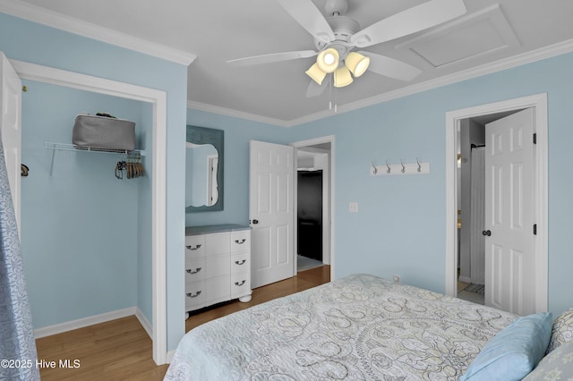 bedroom with wood-type flooring, a closet, ceiling fan, and ornamental molding