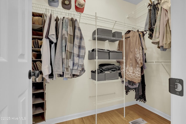 spacious closet with hardwood / wood-style flooring