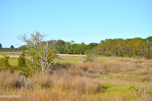 view of local wilderness with a rural view