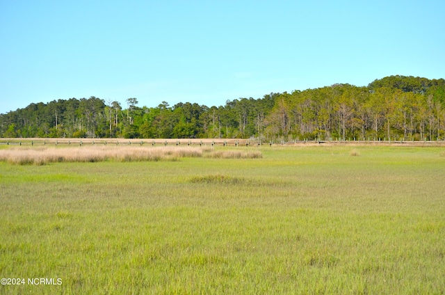 view of local wilderness with a rural view