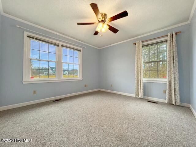 empty room with carpet flooring, ceiling fan, and ornamental molding