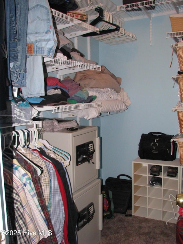 spacious closet with carpet floors